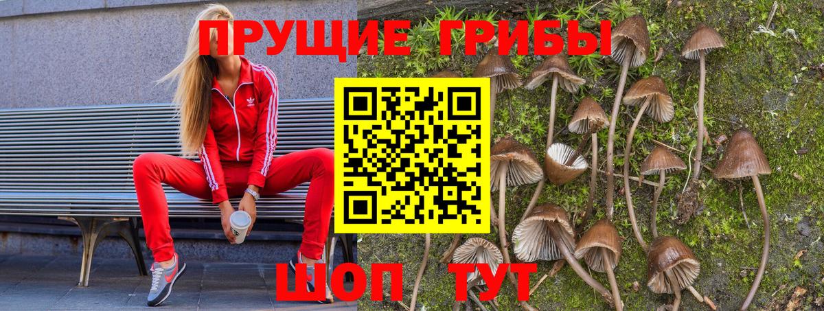 Ярцево  Псилоцибиновые грибы GOLDEN TEACHER  Псилоцибиновые грибы ЛСД  где продают   Вход с VPN 